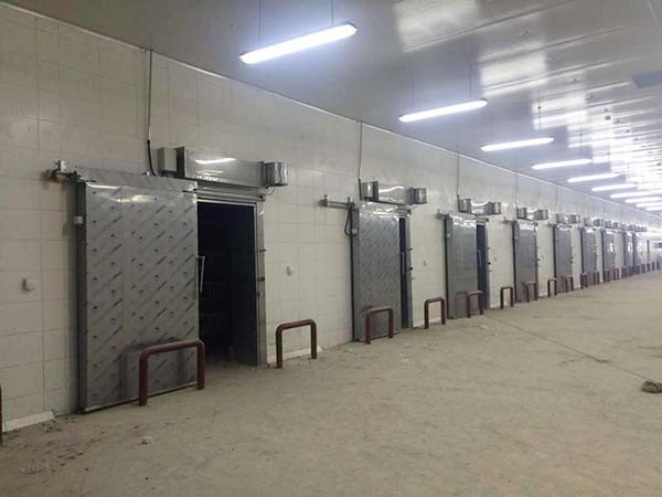 電商生鮮冷庫廠家