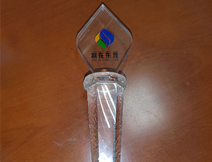 贏在東莞三等獎